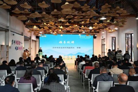 “鄉(xiāng)”聚力量·“創(chuàng)”新未來(lái) 丨 “秦嶺鄉(xiāng)韻 和美共塑”專題活動(dòng)在火燒店鎮(zhèn)舉行